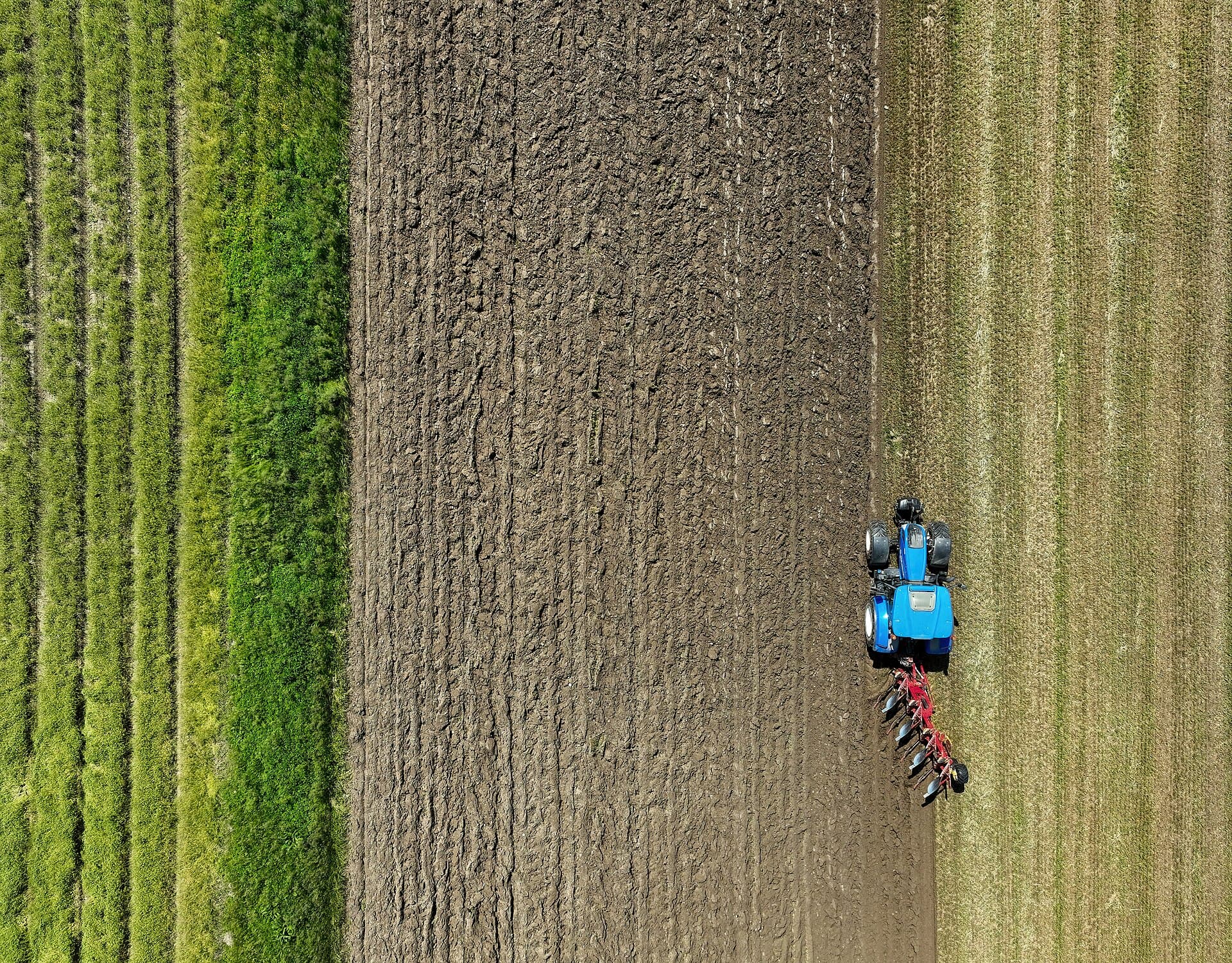 Trator médio x trator de alta potência: como escolher o porte certo para produzir mais no campo